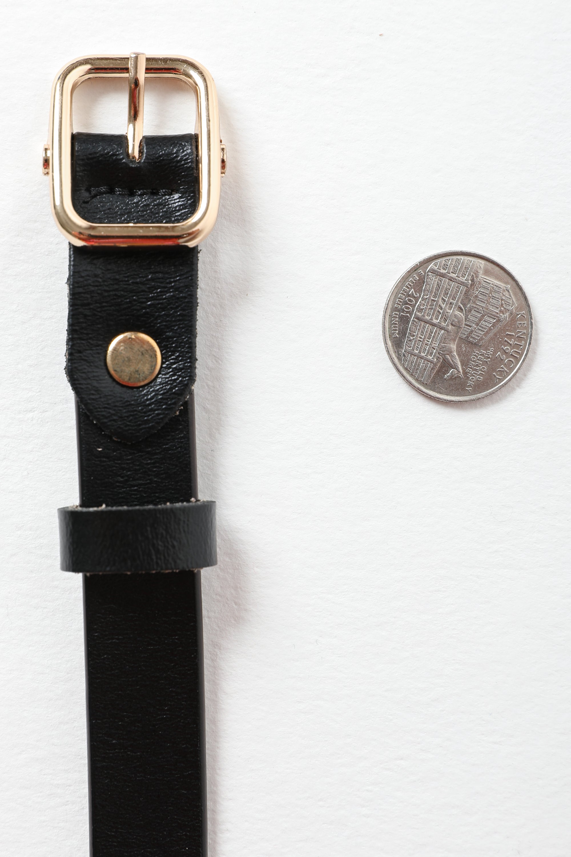 Versatile Skinny Leather Belt – Perfect for Any Outfit 💫